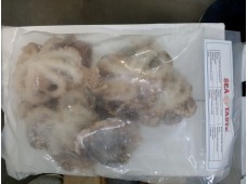 Caracatita baby 40/60pcs/kg